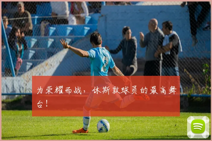 为荣耀而战，休斯敦球员的最高舞台！